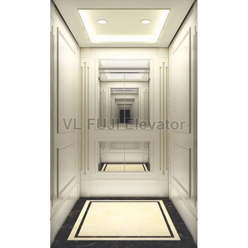 Taction Home Traction Home Elevator: Elevate Your Living Space.