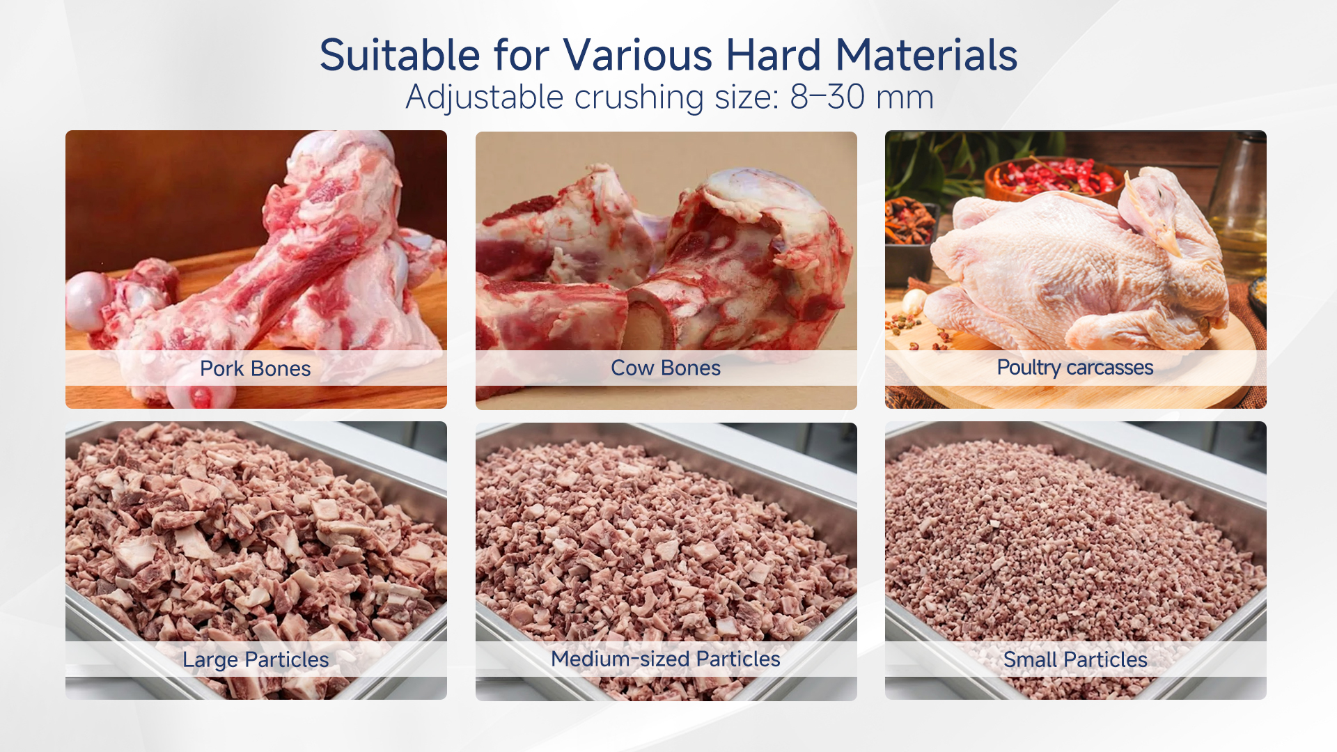Dual Shaft Bone Crusher Machine | Industrial Bone and Meat Shredder