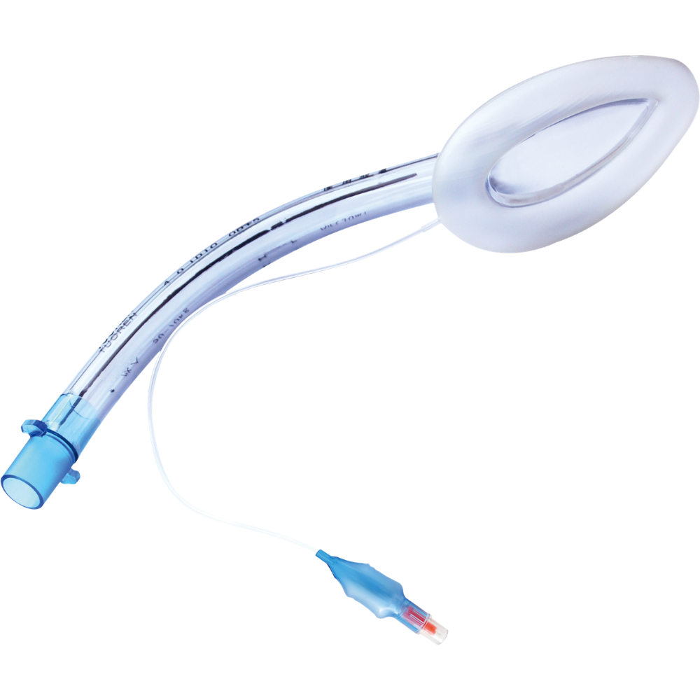 Đường thở qua mặt nạ thanh quản
