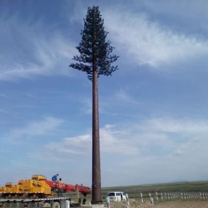 5G Camouflage Bionic Tree Tower for Signal Coverage