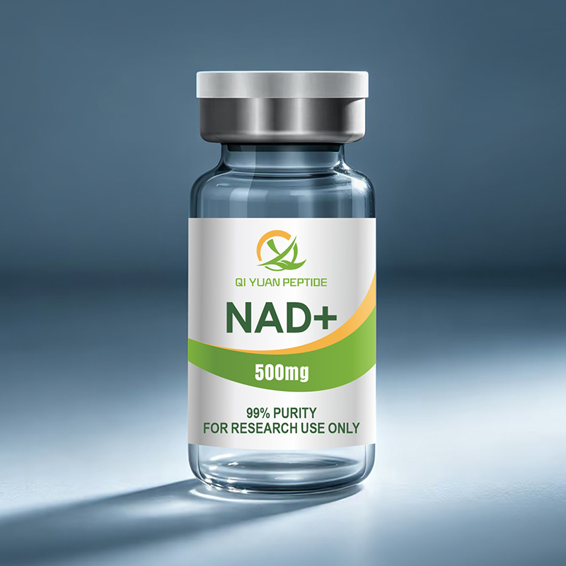 Semax and Neuroprotection: Mechanisms Explored in Research Models