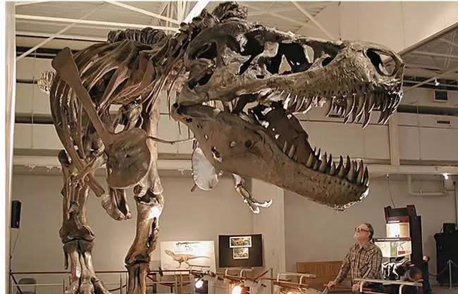 ¿Cuándo vivieron los dinosaurios?