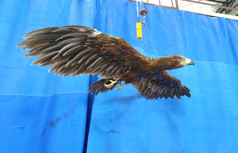 Modelos de animales realistas de tamaño natural con calidad de museo
