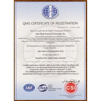ISO9001 ES