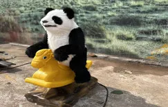 Настоящая аниматронная модель панды в натуральную величину для выставки