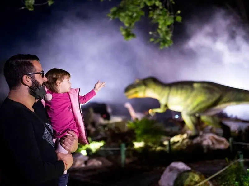 ¿Por qué elegir Dino Walk?