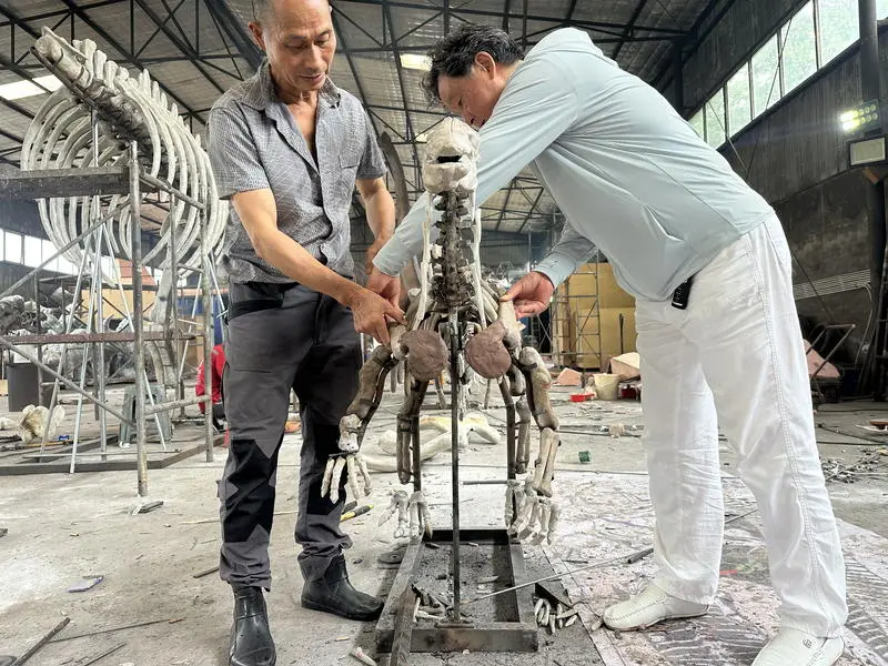 ¿Por qué elegir Dino Walk?