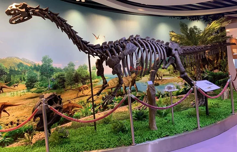 Réplica de fósil suministrada por fábrica para el museo de Shanghai