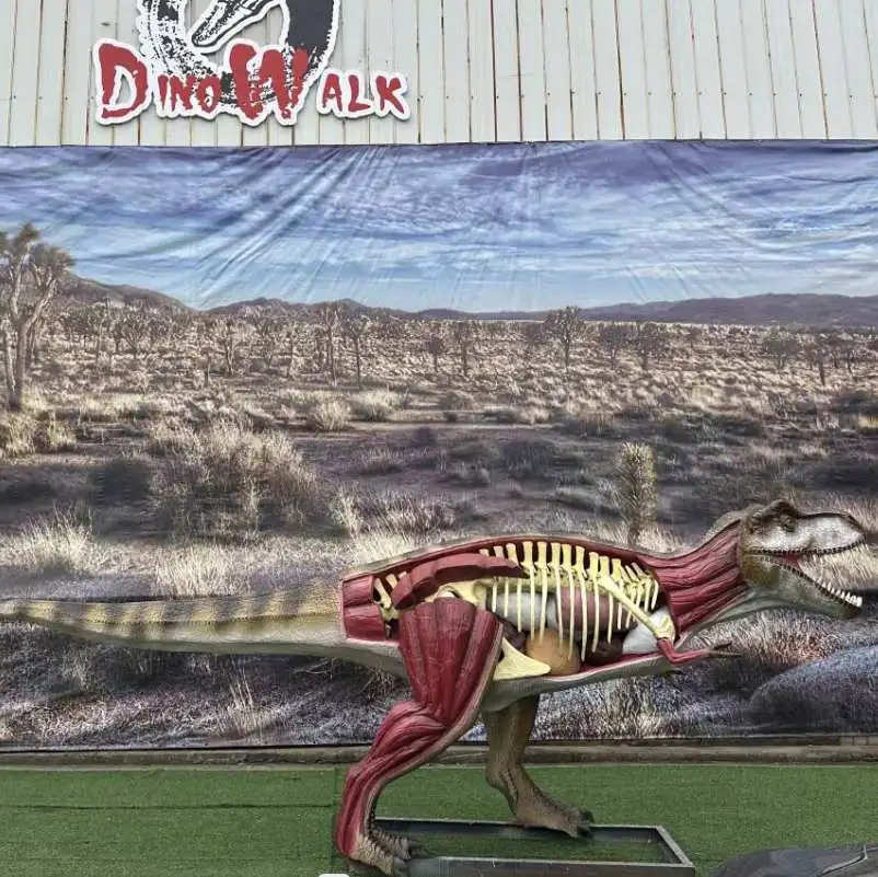 Анатомическая модель динозавра T-Rex в натуральную величину