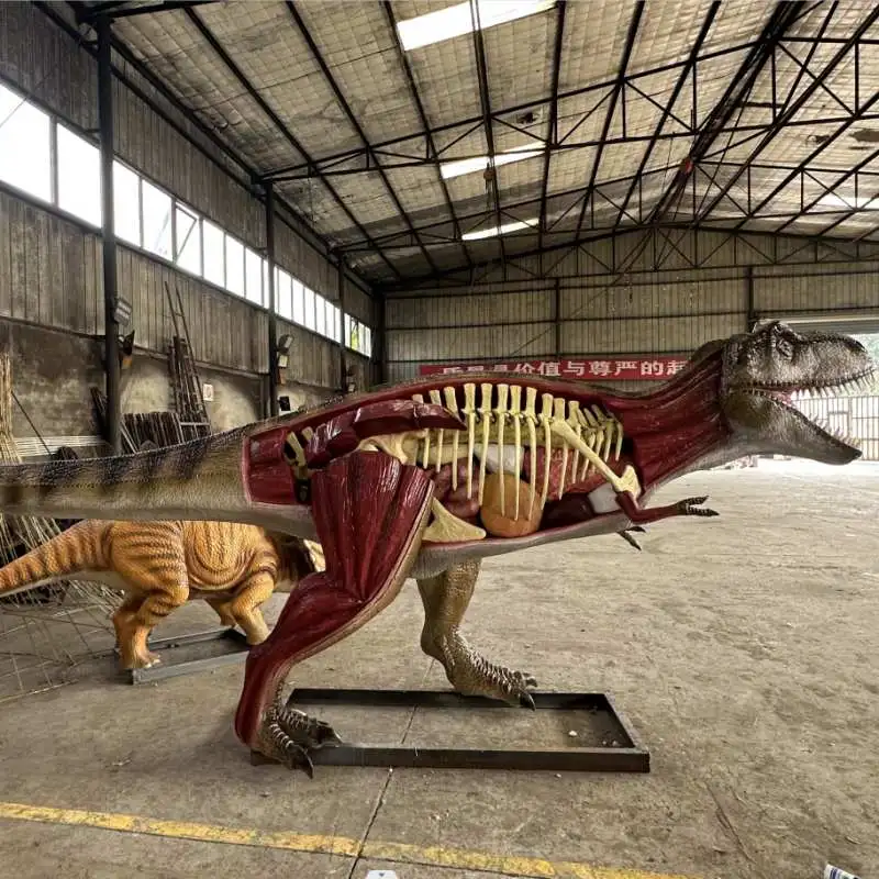 Анатомическая модель динозавра T-Rex в натуральную величину