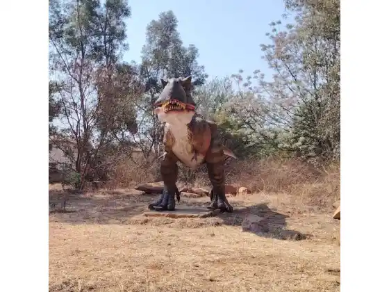 South Africa Dino Park Project