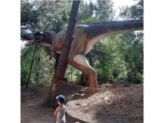 Dinosaur Park Attraction in France