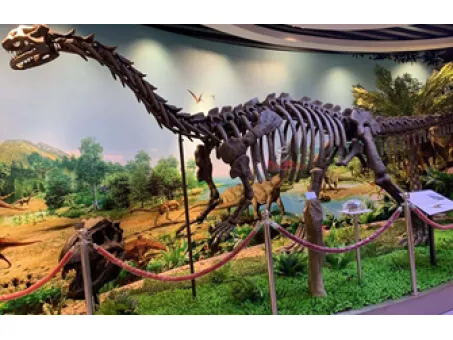 History of Dinosaurs
