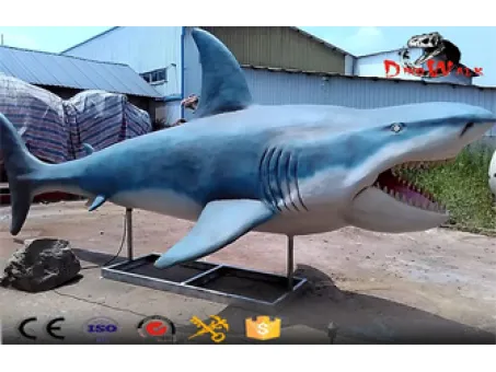 6 Interesting Facts About Sharks