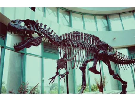 Why Did Dinosaurs Go Extinct?