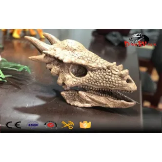 modelo de réplica de cabeza fósil de dinosaurio delicado