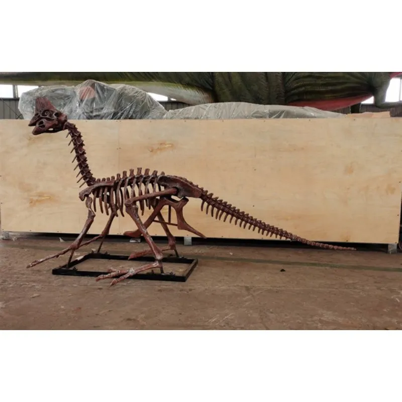 Dino Park modelo de esqueleto de Oviraptor tamaño real 2,5 metros