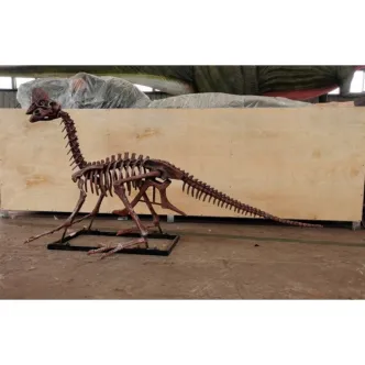 Dino Park modelo de esqueleto de Oviraptor tamaño real 2,5 metros