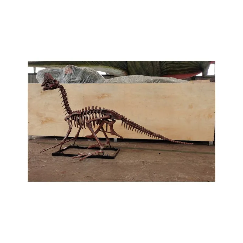 Dino Park modelo de esqueleto de Oviraptor tamaño real 2,5 metros