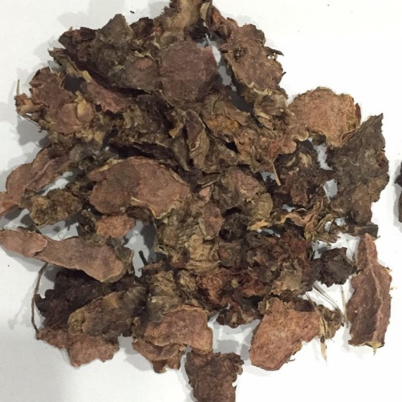 Rhodiola Rosea Extract