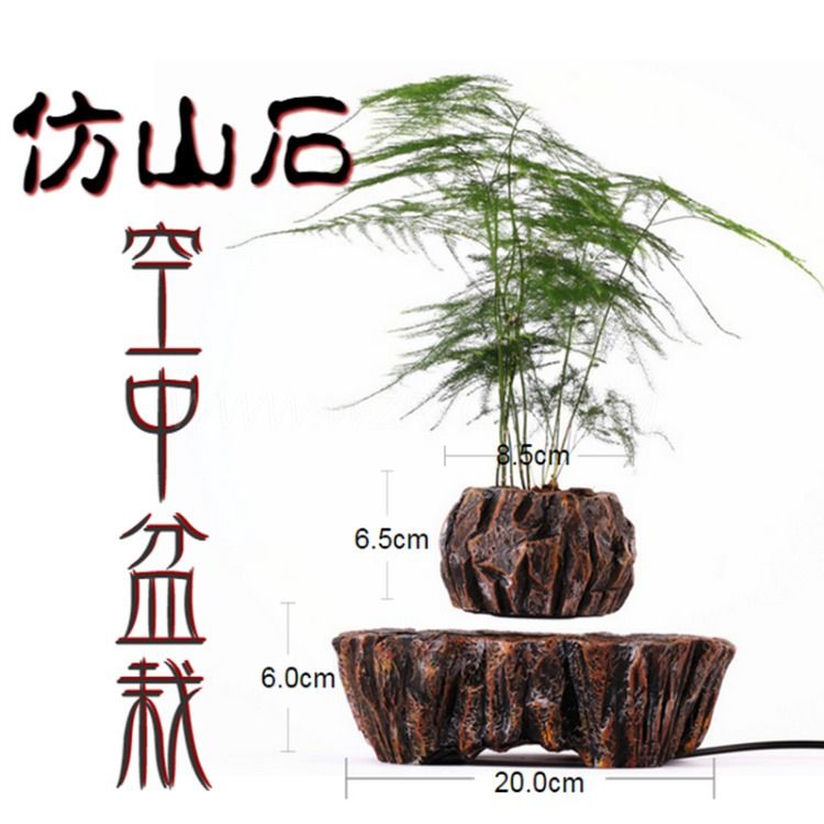 Our company independently developed a magnetic levitation flowerpot, which has been recognized and loved by consumers