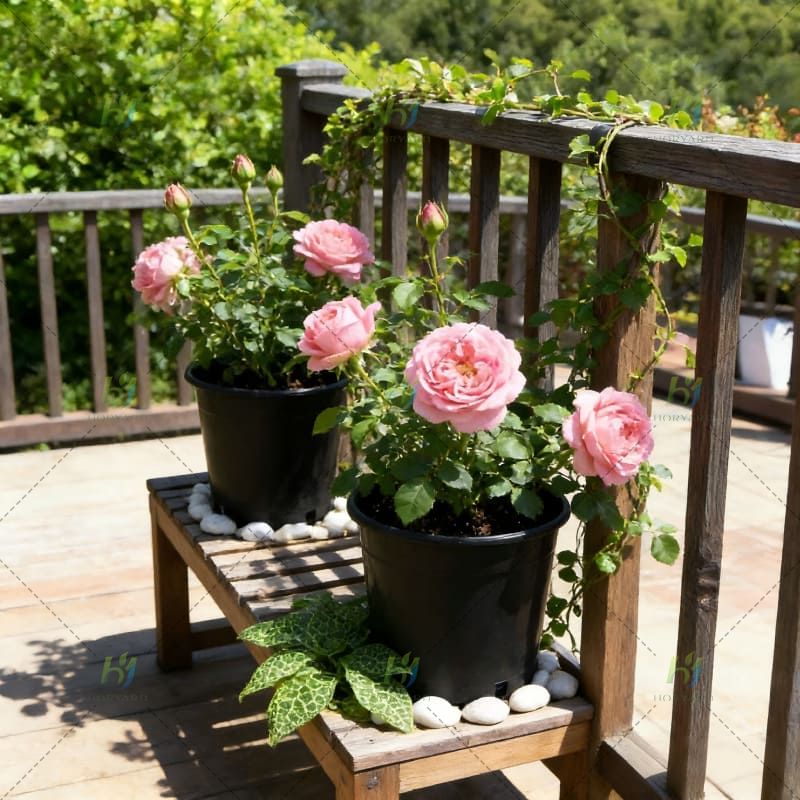 PP 3-Gallonen-Töpfe, Kunststoff-Pflanzgefäße, große Outdoor-Gartenblumen-Kinderzimmertöpfe