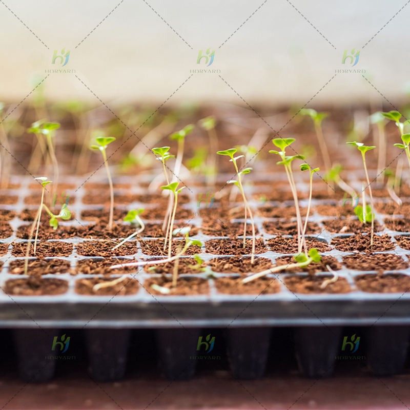 Anzuchtschalen aus Kunststoff mit 128 Zellen für den Garten