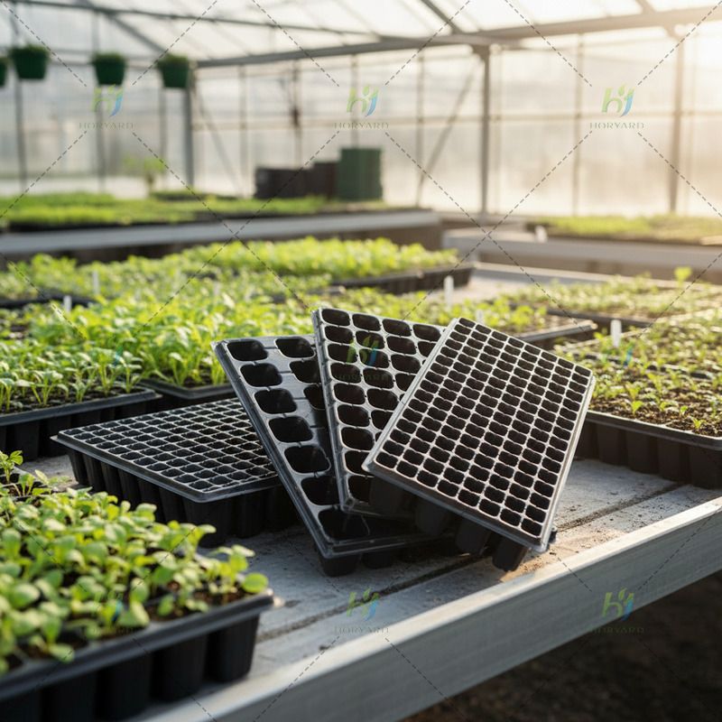 Anzuchtschalen aus Kunststoff mit 128 Zellen für den Garten