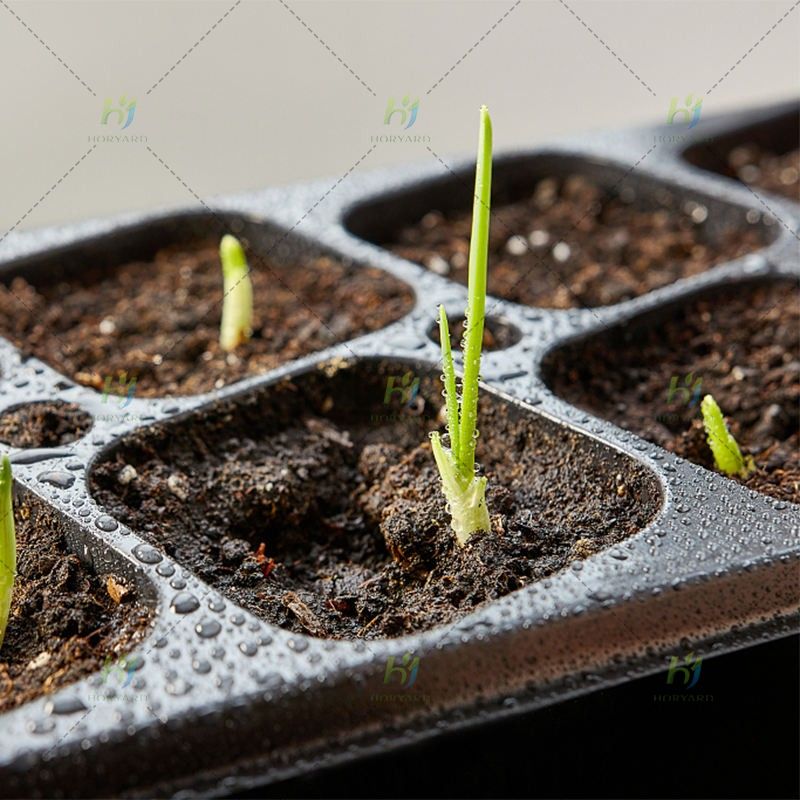 Anzuchtschalen aus Kunststoff mit 128 Zellen für den Garten