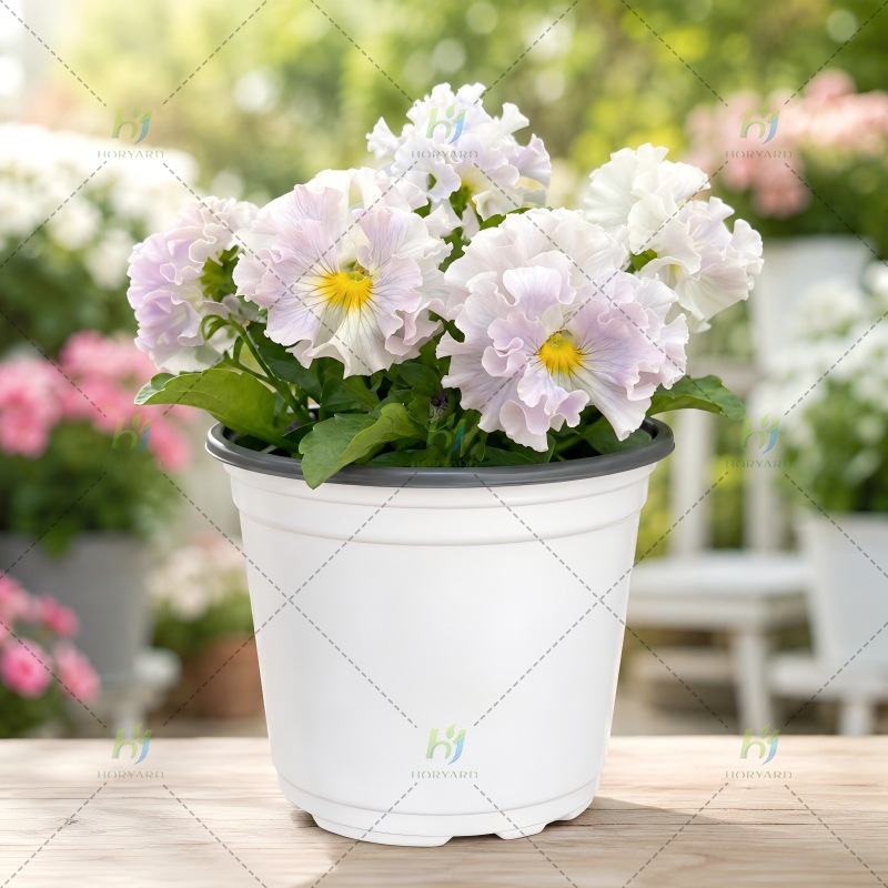 Flexible Anzuchttöpfe aus weißem/schwarzem Kunststoff für Setzlinge und Blumen im Großhandel