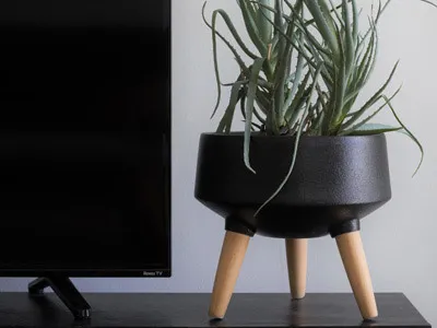 Living Planters With Legs
