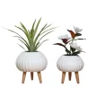Stoneware Planters With Wood Stands WR24A