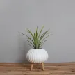 Stoneware Planters With Wood Stands WR24B
