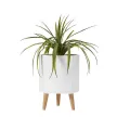 Textured Footed Planters WL03B
