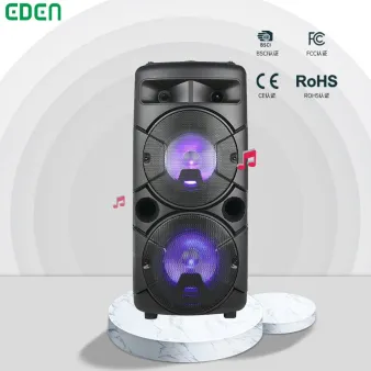 dj speaker box