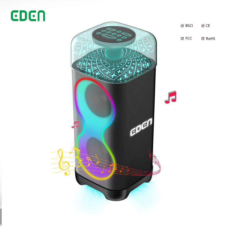 EDEN new product 6.5 inch party speaker