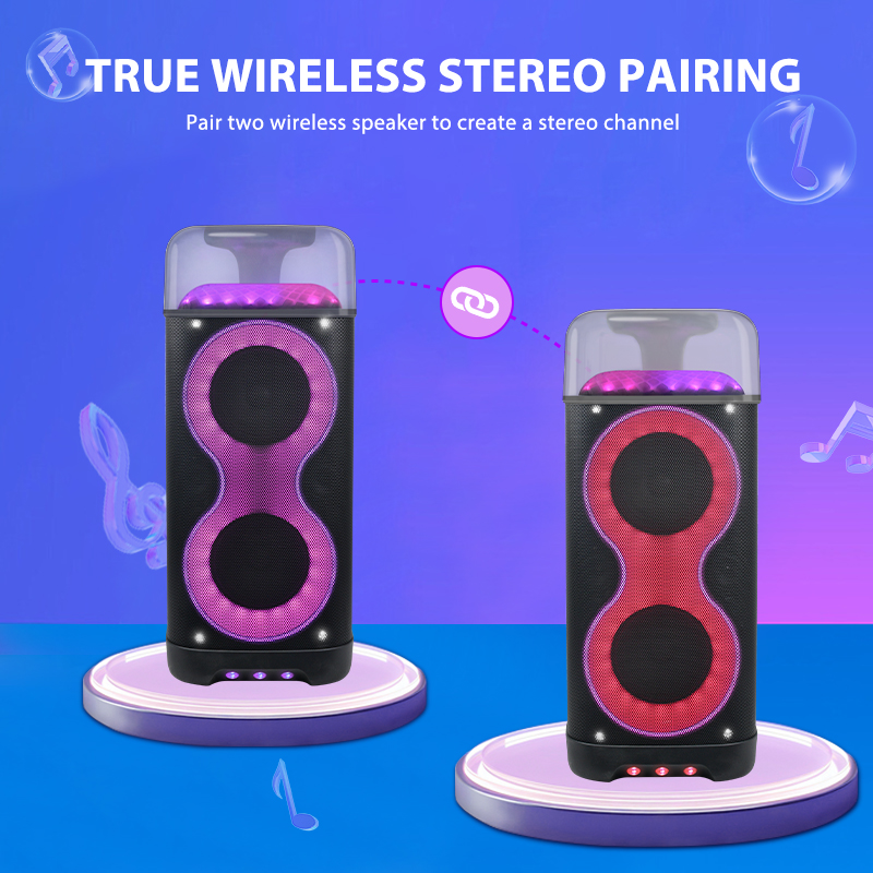 EDEN new product 6.5 inch party speaker