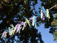 How Does a Clothesline Help the Environment?