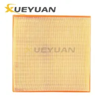 Factory Price car engine air filter 1109110XKV08A