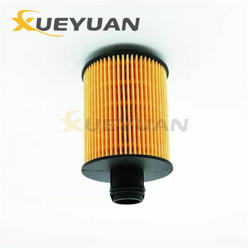 1013110DA0300 JLX-462 HU712/11X Oil Filter For DFSK Glory