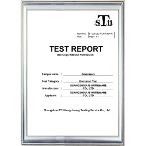 STU TEST REPORT -1
