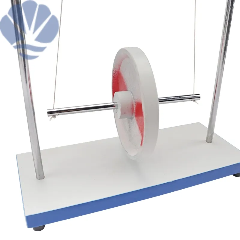 Discover the Rolling Pendulum: Engaging Educational Equipment for ...