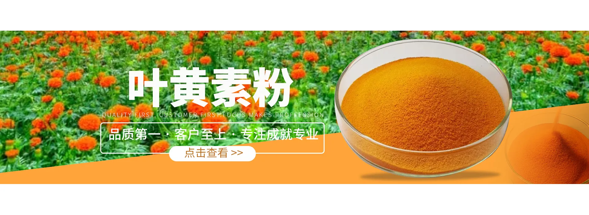 marigold flower extract