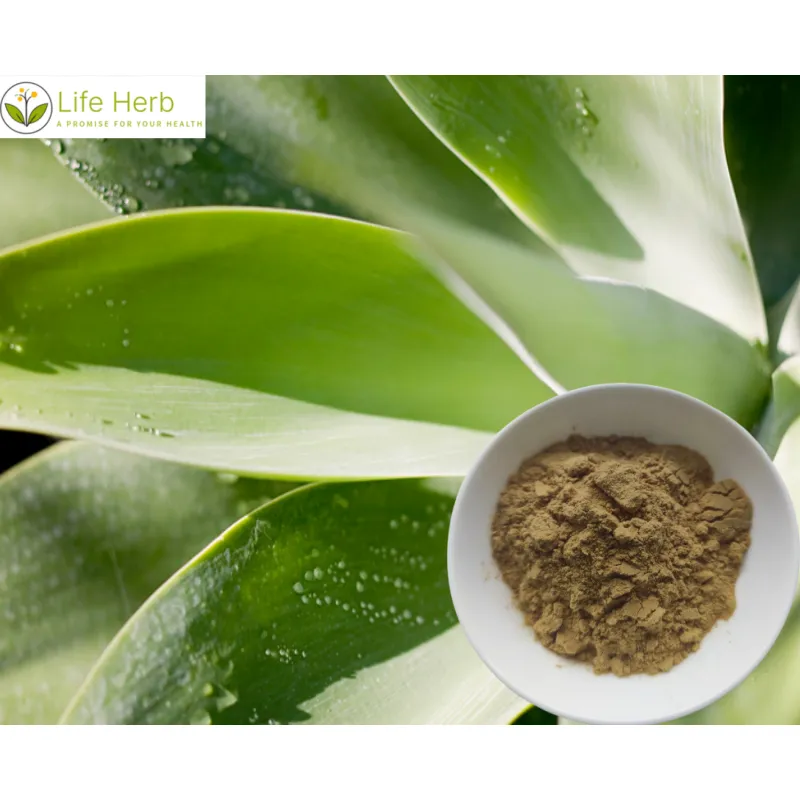 Yucca Extract factory yucca extract