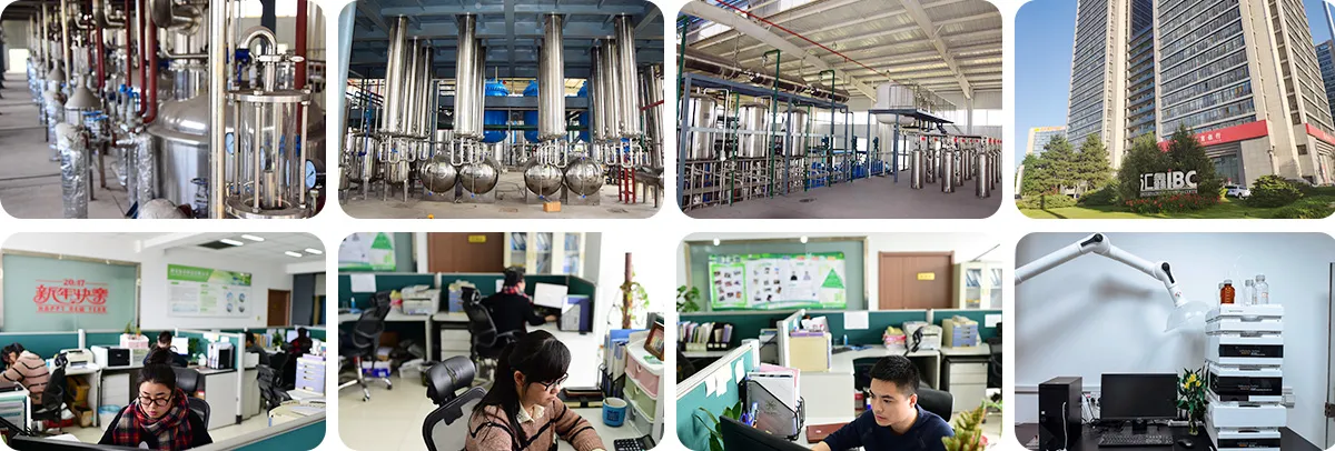 Xi'an Green Spring Technology Co., Ltd.