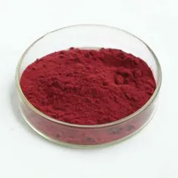 Bilberry Extract Powder