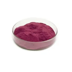 Elderberry Extract Powder