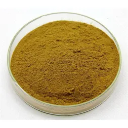 Echinacea Purpurea Extract Powder