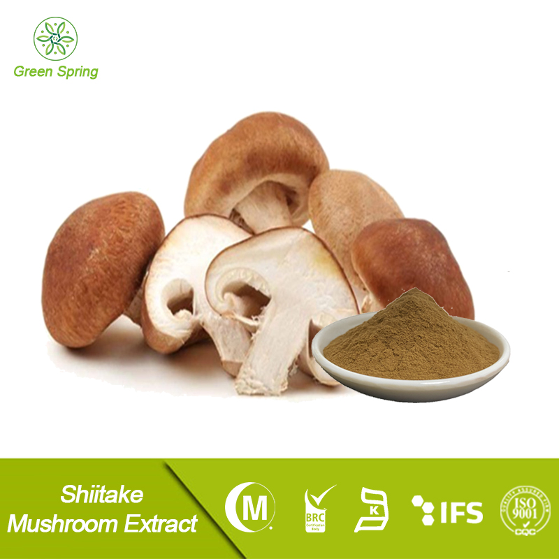 Shiitake Mushroom Extract