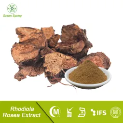 Rhodiola Rosea Extrakt